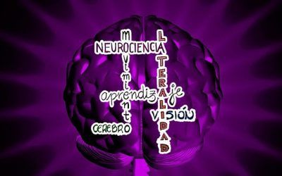 Lateralidad,  Neurocienca y Movimiento